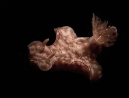 IMG_6226.webp IMG_6226.webp