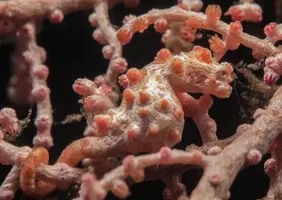 IMG_6213.webp IMG_6213.webp