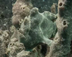 IMG_6212.webp IMG_6212.webp