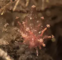 IMG_6228.webp IMG_6228.webp