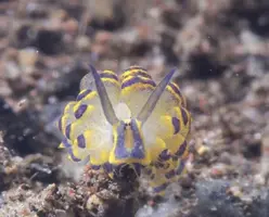 IMG_6237.webp IMG_6237.webp