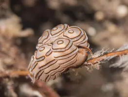 IMG_6229.webp IMG_6229.webp