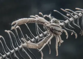 IMG_6215.webp IMG_6215.webp