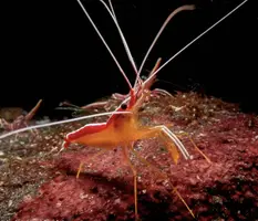 IMG_6216.webp IMG_6216.webp