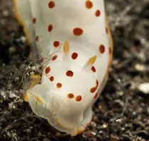 IMG_6235.webp IMG_6235.webp