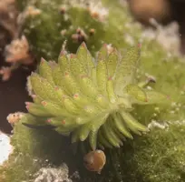 IMG_6236.webp IMG_6236.webp