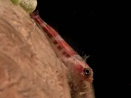 IMG_6211.webp IMG_6211.webp