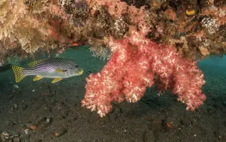 IMG_6239.webp IMG_6239.webp