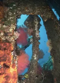 IMG_6240.webp IMG_6240.webp