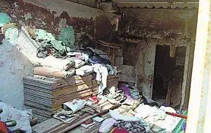 8509472.webp 8509472.webp