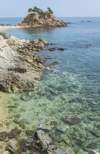 41382383395_2f6de3bbbd_b.webp 41382383395_2f6de3bbbd_b.webp