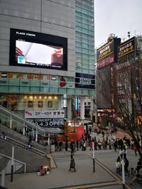 IMG_20200313_165355.webp IMG_20200313_165355.webp