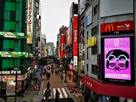 IMG_20200313_165530.webp IMG_20200313_165530.webp