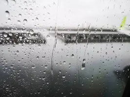 IMG_20200314_125332.jpg IMG_20200314_125332.jpg