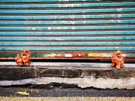 IMG_20200314_104259.jpg IMG_20200314_104259.jpg