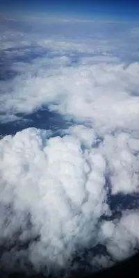 IMG_20200314_135610.jpg IMG_20200314_135610.jpg