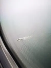 IMG_20200314_125746.webp IMG_20200314_125746.webp