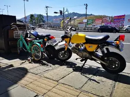 IMG_20200315_125609.jpg IMG_20200315_125609.jpg