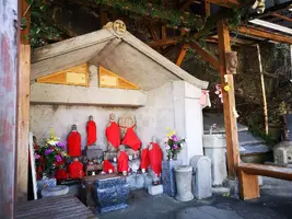 IMG_20200315_132236.jpg IMG_20200315_132236.jpg