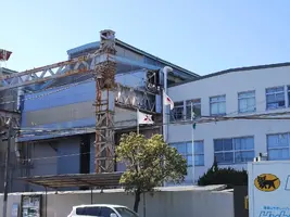 IMG_20200320_144903.jpg IMG_20200320_144903.jpg