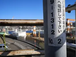 IMG_20200320_160231.jpg IMG_20200320_160231.jpg