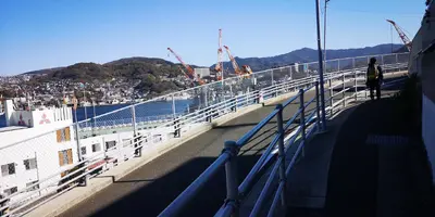 IMG_20200320_153457.jpg IMG_20200320_153457.jpg