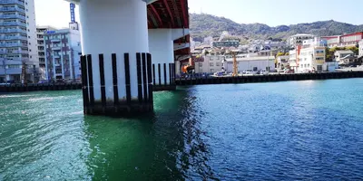 IMG_20200320_142016.jpg IMG_20200320_142016.jpg