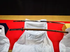 IMG_20200321_124950.webp IMG_20200321_124950.webp