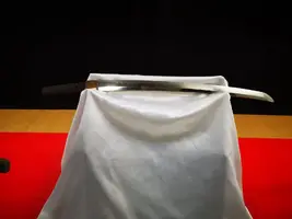 IMG_20200321_124906.webp IMG_20200321_124906.webp