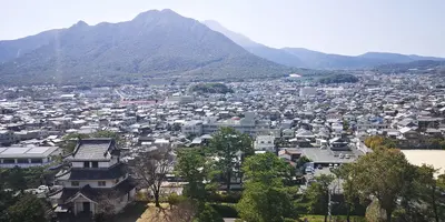 IMG_20200321_131450.webp IMG_20200321_131450.webp