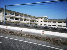 IMG_20200321_135157.jpg IMG_20200321_135157.jpg