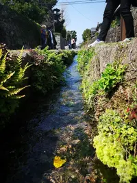 IMG_20200321_140458.jpg IMG_20200321_140458.jpg