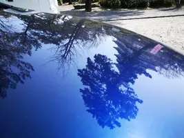 IMG_20200321_142657.jpg IMG_20200321_142657.jpg