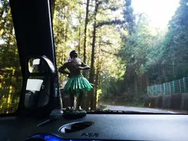 IMG_20200321_150237.jpg IMG_20200321_150237.jpg