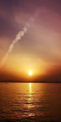 IMG_20200321_181223.jpg IMG_20200321_181223.jpg