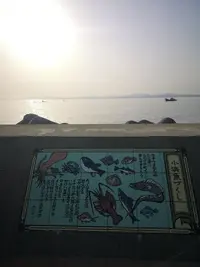 IMG_20200321_170315.jpg IMG_20200321_170315.jpg