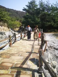 IMG_20200321_153932.jpg IMG_20200321_153932.jpg