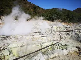 IMG_20200321_153711.webp IMG_20200321_153711.webp