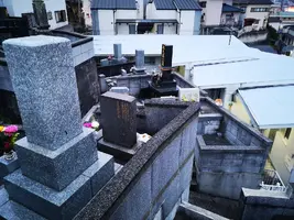 IMG_20200322_183721.jpg IMG_20200322_183721.jpg