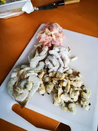 IMG_20200322_145834.jpg IMG_20200322_145834.jpg