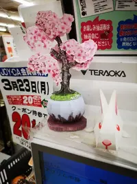 IMG_20200322_125118.jpg IMG_20200322_125118.jpg