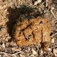 oeriigjdjlkjgdfoijg.webp oeriigjdjlkjgdfoijg.webp