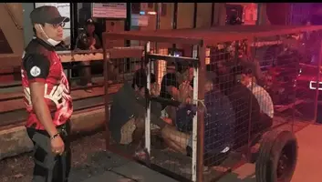 Screenshot_20200402-125218_1.webp Screenshot_20200402-125218_1.webp