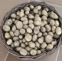 376544CA-BDDB-4F29-9343-06C5C655C193.webp 376544CA-BDDB-4F29-9343-06C5C655C193.webp