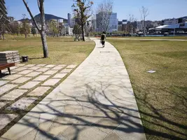 IMG_20200414_125447.webp IMG_20200414_125447.webp