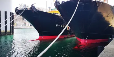 IMG_20200414_122837.webp IMG_20200414_122837.webp