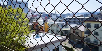 IMG_20200414_115738.jpg IMG_20200414_115738.jpg