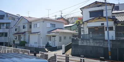 IMG_20200414_115300.jpg IMG_20200414_115300.jpg