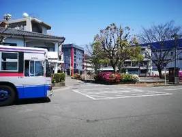 IMG_20200414_112141.jpg IMG_20200414_112141.jpg