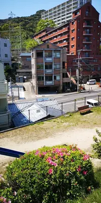 IMG_20200414_115625.jpg IMG_20200414_115625.jpg